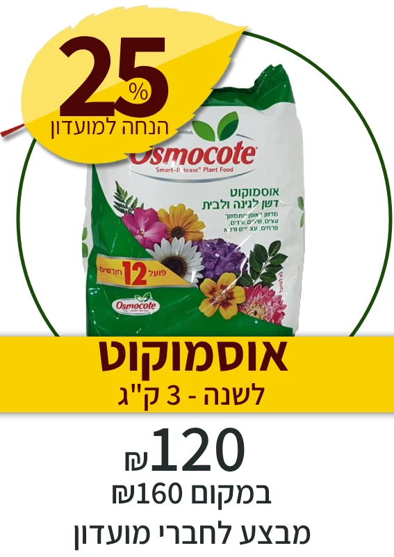 אוסמוקוט לשנה